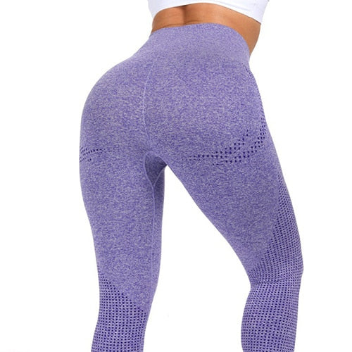 Women's Seamless High Waist Yoga/ Fitness Leggings