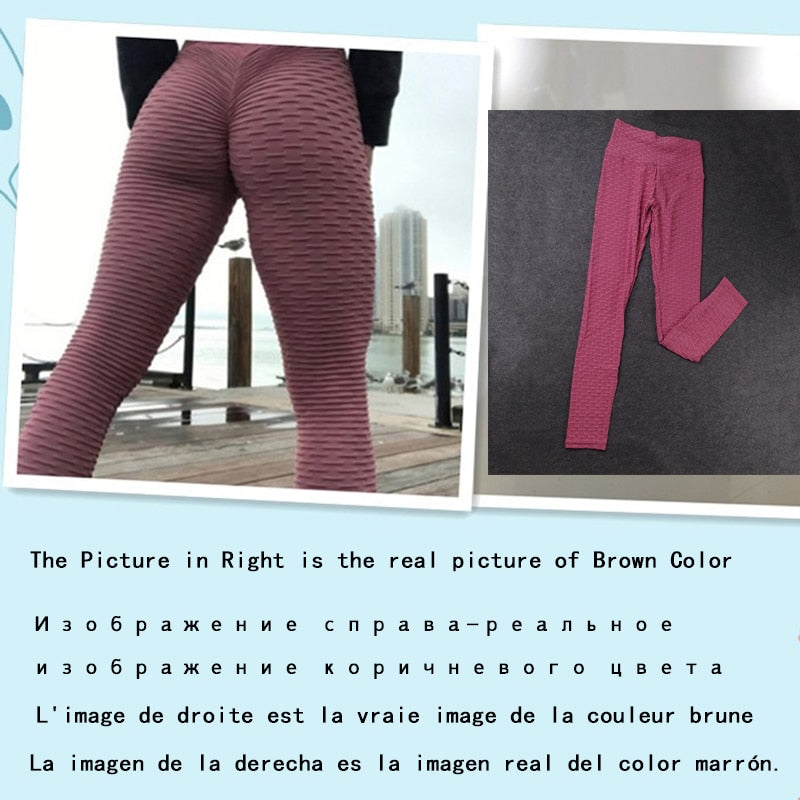 Women's Yoga Fitness Pants/Sports Leggings