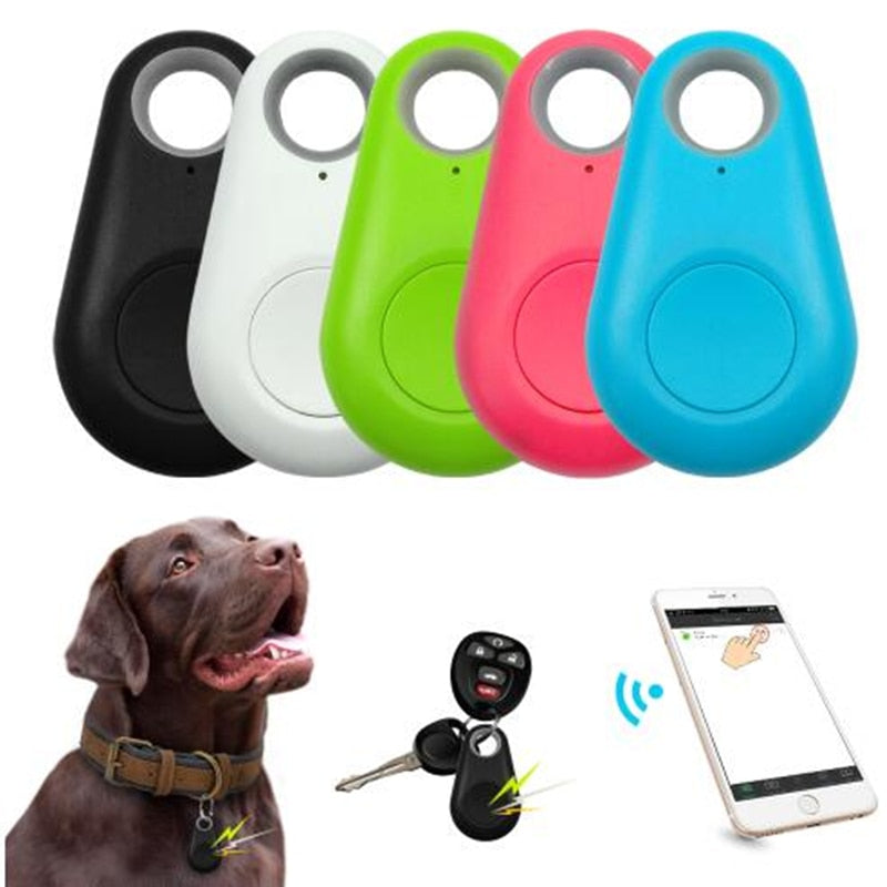 Dog & Pet Tracker And Activity Monitor