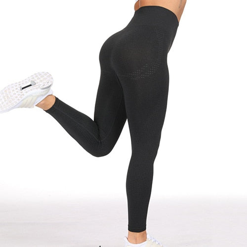 Women's Seamless High Waist Yoga/ Fitness Leggings