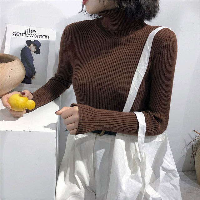 2021 Autumn Winter Spring Thick Warm Women's Knitted Ribbed Pullover Turtleneck Sweaters