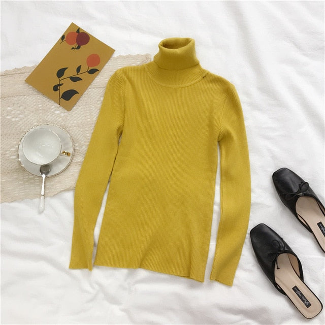 2021 Autumn Winter Spring Thick Warm Women's Knitted Ribbed Pullover Turtleneck Sweaters