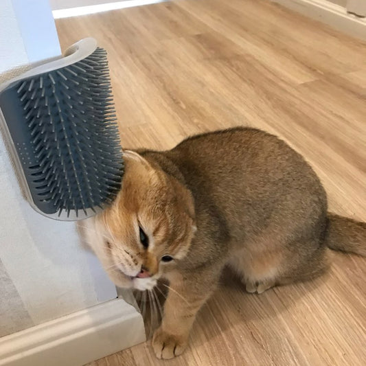 Cats Brush Corner Massage Self Groomer & Comb Brush.