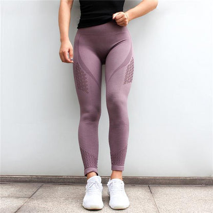 Seamless Mesh Flex Tummy Push Up Yoga Plus Leggings