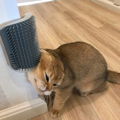 Cats Brush Corner Massage Self Groomer & Comb Brush.
